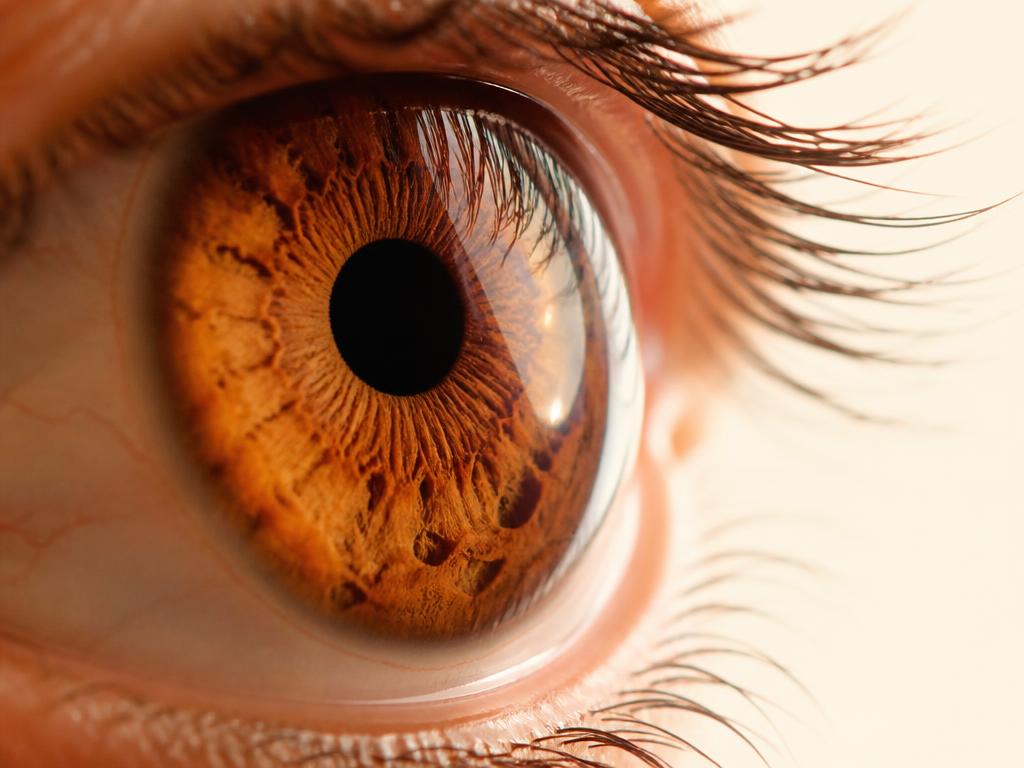 Imagem de segmento anterior com detalhe da córnea